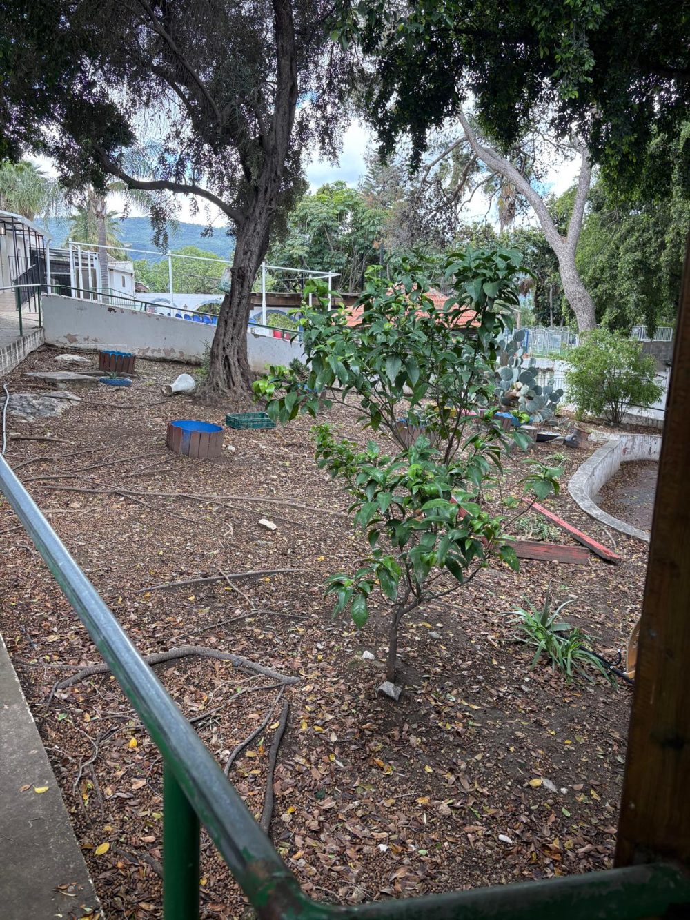 לפני — פרויקט בבית ספר יסודי